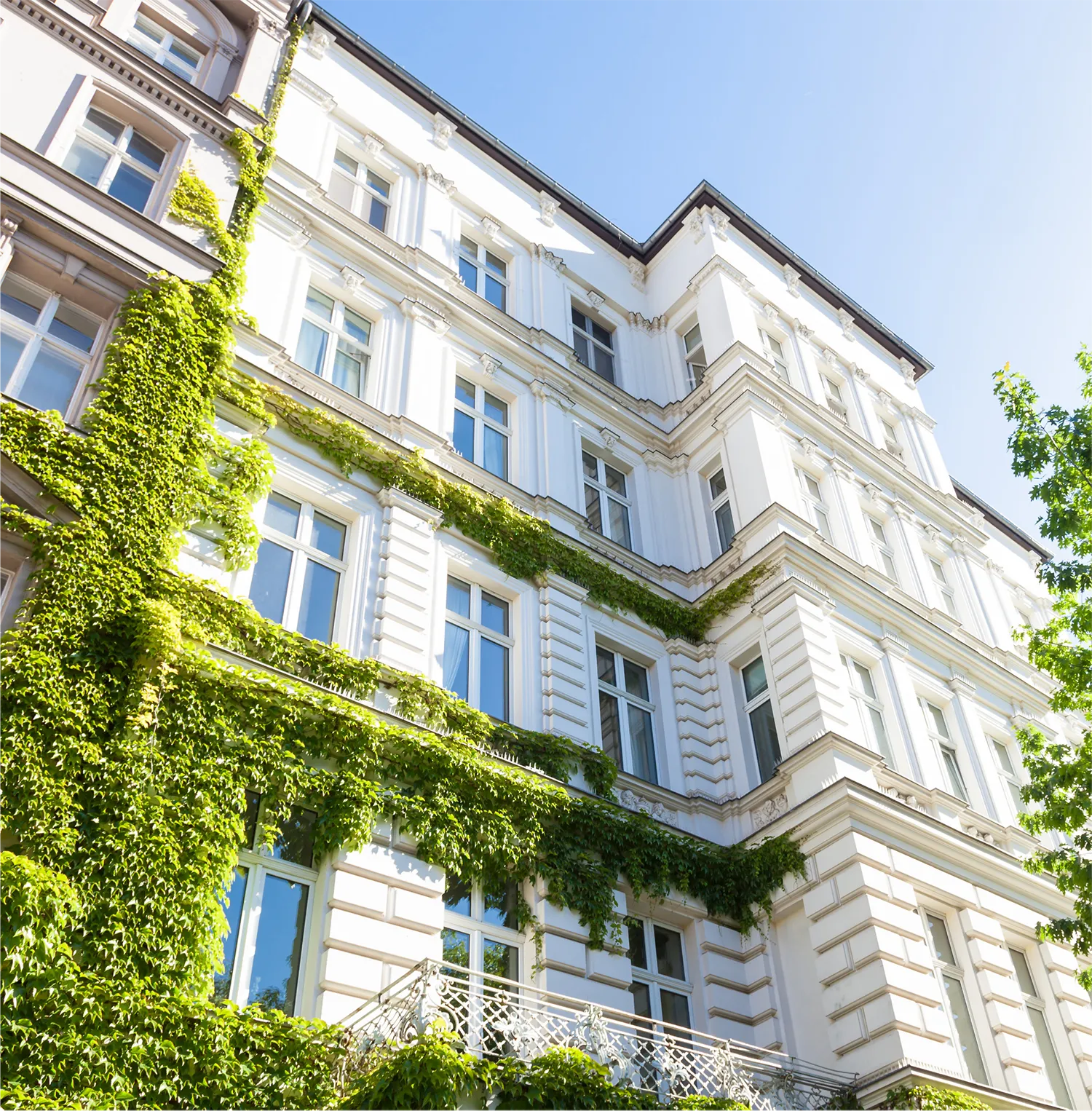 Historisches Mehrfamilienhaus mit begrünter Fassade